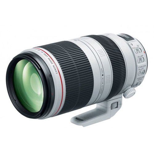 Lente Canon EF 100-400mm f/4.5-5.6L IS II USM